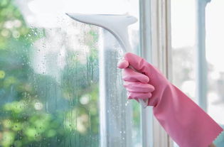 廷管家 專業家政與婚姻介紹，您的明智選擇